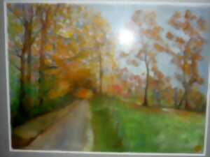 photo Festival flipper Sud-Ouest