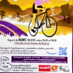 photo Les 46 km cyclo des lavandes