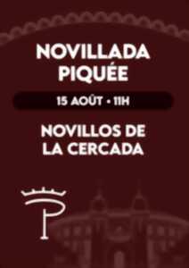photo Novillada piquée