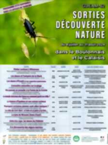 photo GDEAM-62 La Réserve naturelle régionale de Condette