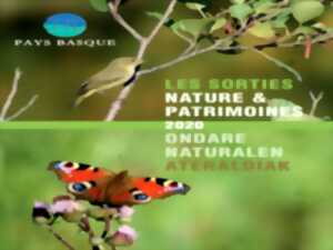 photo Randonnée : le brame du cerf