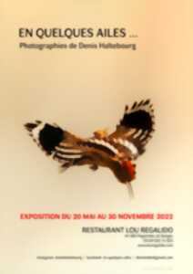 EXPOSITION LOU REGALIDO - EN QUELQUES AILES, PHOTOGRAPHIES DE DENIS HALTEBOURG