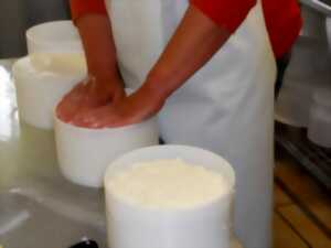 Visite de la ferme Atxinea, fabrication de fromage