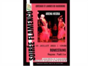 Soirée flamenco à Romestaing