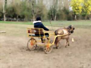 Les stages du Ranch et Ferme du Saut du Loup