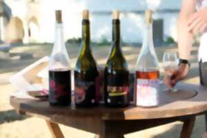 7 vins 7 lieux insolites : dégustation à la Cité Royale de Loches