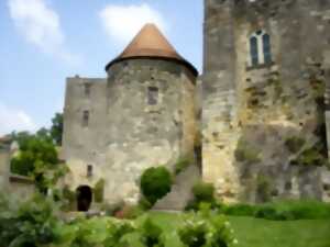 photo Animations médiévales au Château de Langoiran