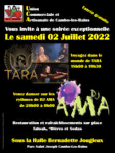 photo Animation musicale