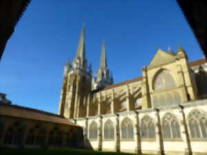 Visite guidée: cathédrale express