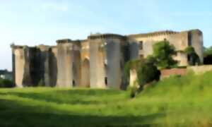 Visite commentée du château de La Ferté-Milon