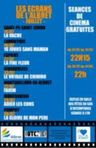photo Les écrans de l'Albret