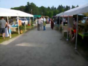 photo Le Marché de la Forêt et le concert Jeudi de la Liberté