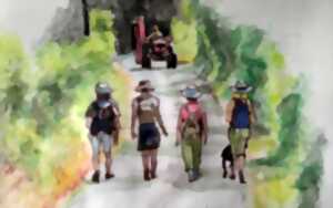 Vide Atelier et bibliothèque