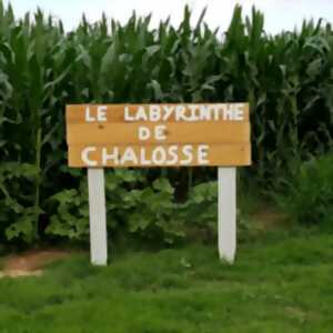 Nuit de l'horreur au labyrinthe de Chalosse