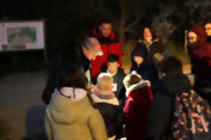 photo Nuit internationale de la chauve-souris