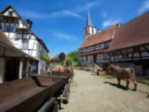 photo Exposition : Le verre à soi