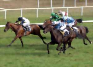 Courses - Hippodrome de La Teste de Buch