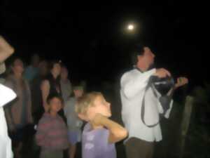 photo Nuit de la chauve-souris