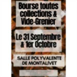 Vide grenier et bourse toutes collections