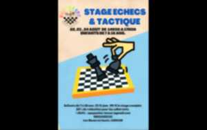 photo Stage enfants : échecs et tactique