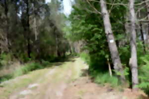 photo Randonnée commentée  «Histoires de forêt et d’eau»