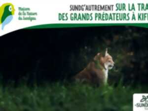 photo Sur les traces des grands prédateurs à Kiffis