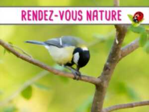 RENDEZ-VOUS NATURE : Observation des oiseaux nicheurs