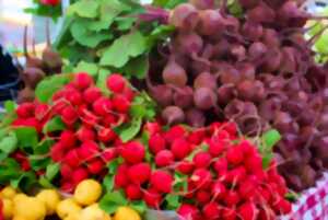 photo Marché de Gien - Mercredi