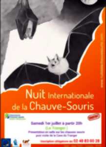 photo Nuit de la chauve-souris