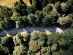 photo Col'Attitude : Hartmannswillerkopf - Col du Silberloch