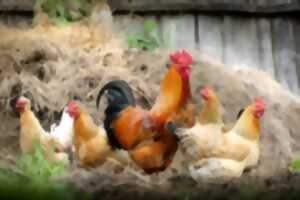 Les animaux de la ferme