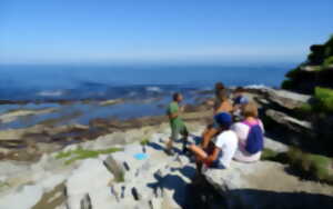 photo Espaces naturels sensibles de Saint-Jean-de-Luz: Pinède d'Etchebiague, entre parfum iodé et scarabées discrets.