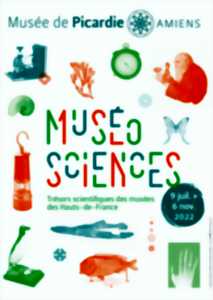 Visite de l'exposition : MuséoSciences - Trésors scientifiques des musées des Hauts-de-France