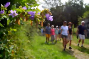 photo Balade gourmande