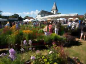 photo Marché aux plantes