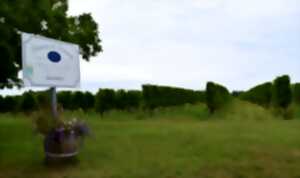 Dégustation apéritive | Domaine de Grimardy