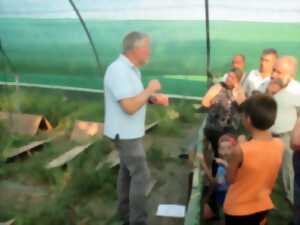 photo Repas fermier, à la ferme aux escargots