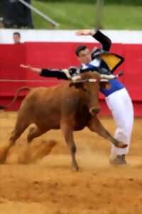 photo Grande sardinade