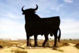 Toro de fuego royal