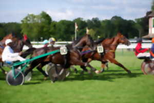Concours National d'Attelage