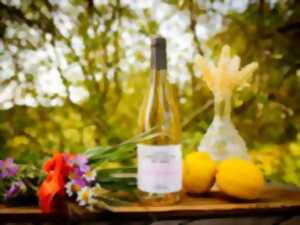 photo LES JEUDIS DE L'ART : DEGUSTATIONS ET VERNISSAGES