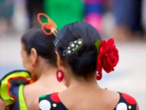 FERIA DE CARCASSONNE
