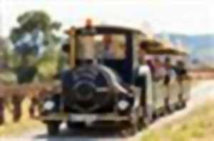 photo LE PETIT TRAIN DES VIGNES