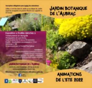 Atelier et vernissage autour de l'exposition Rêve de coquelicots