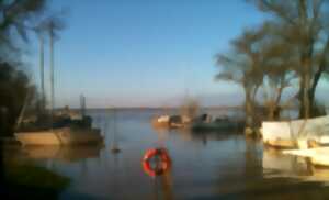 photo L'Estuarienne à Roque de Thau