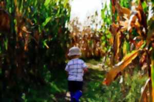 photo Le labyrinthe de Mery