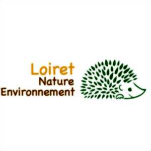 Sortie nature A la découverte de la faune crépusculaire en bord de Loire