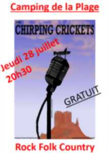 photo Les Concerts de l'été au Pitchou