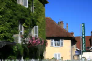 photo Visite libre de la Maison de Louis Pasteur