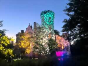 photo Les soirées d'été au Château de La Mothe-Chandeniers